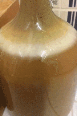 576af8e14f99f875924837