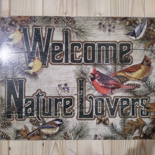 IMG_20170901_1605397