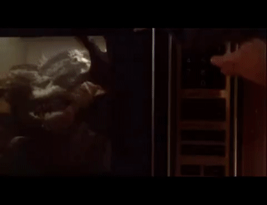 astonishingincompatiblejavalina-size_restricted